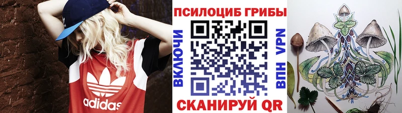 Галлюциногенные грибы Psilocybe Ильский